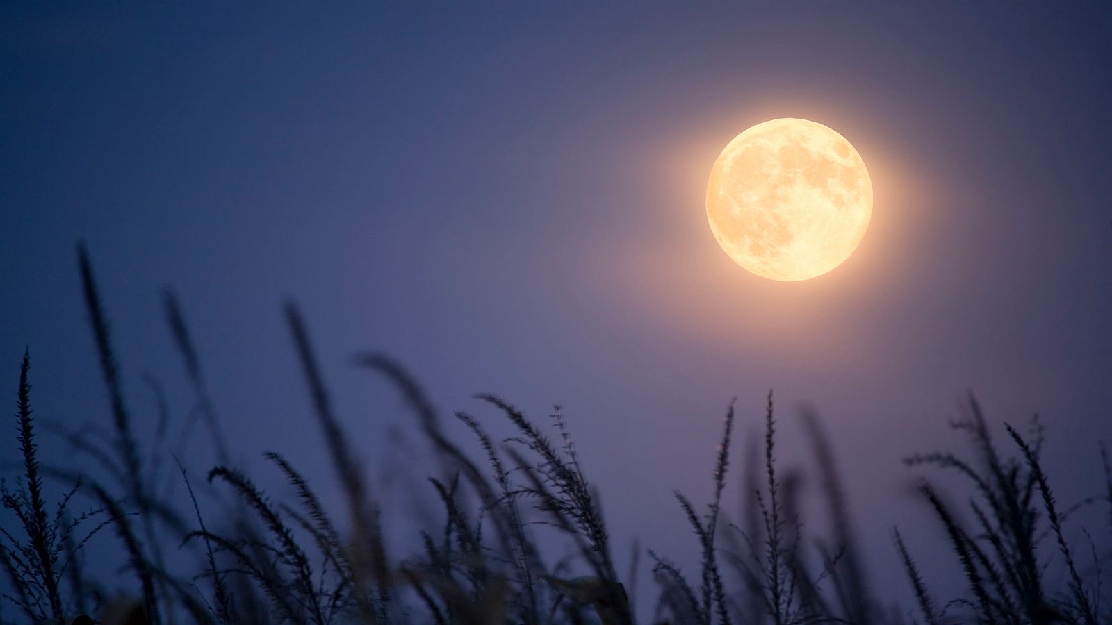 Der Vollmond Am August Schenkt Drei Sternzeichen Einen