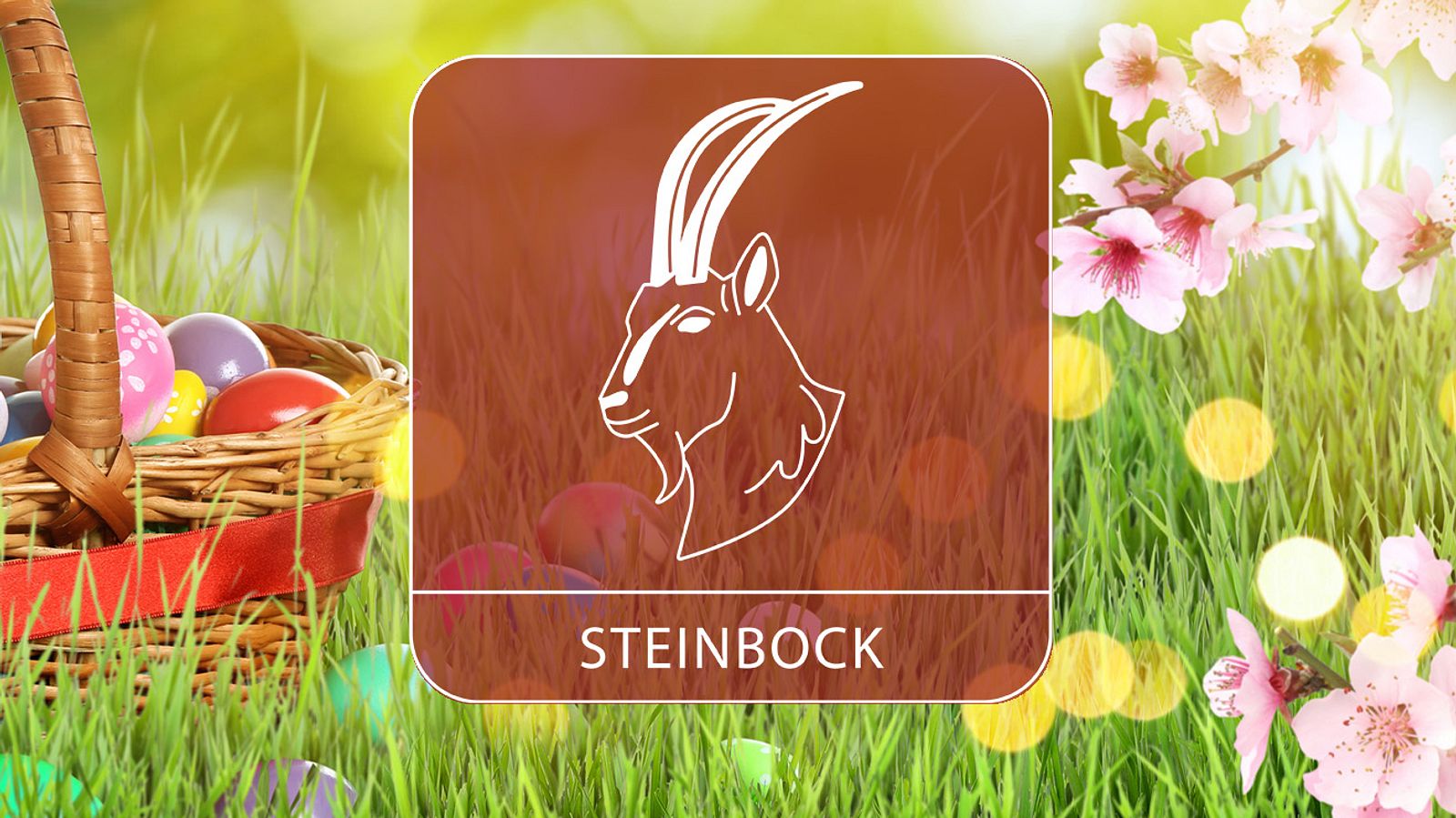 Das Gro E Oster Horoskop F R Das Sternzeichen Steinbock Astrowoche