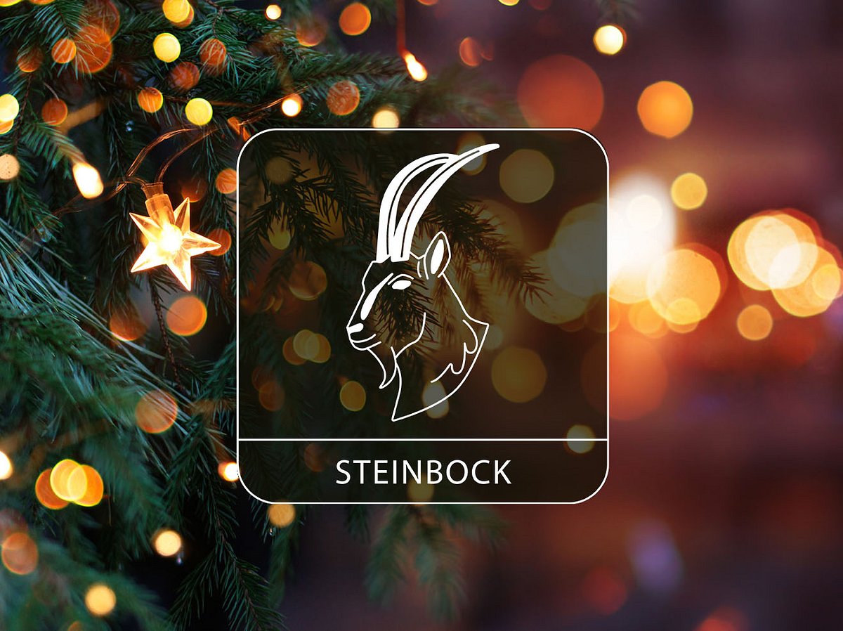 Sternzeichen Steinbock vor einem weihnachtlichen Hintergrund