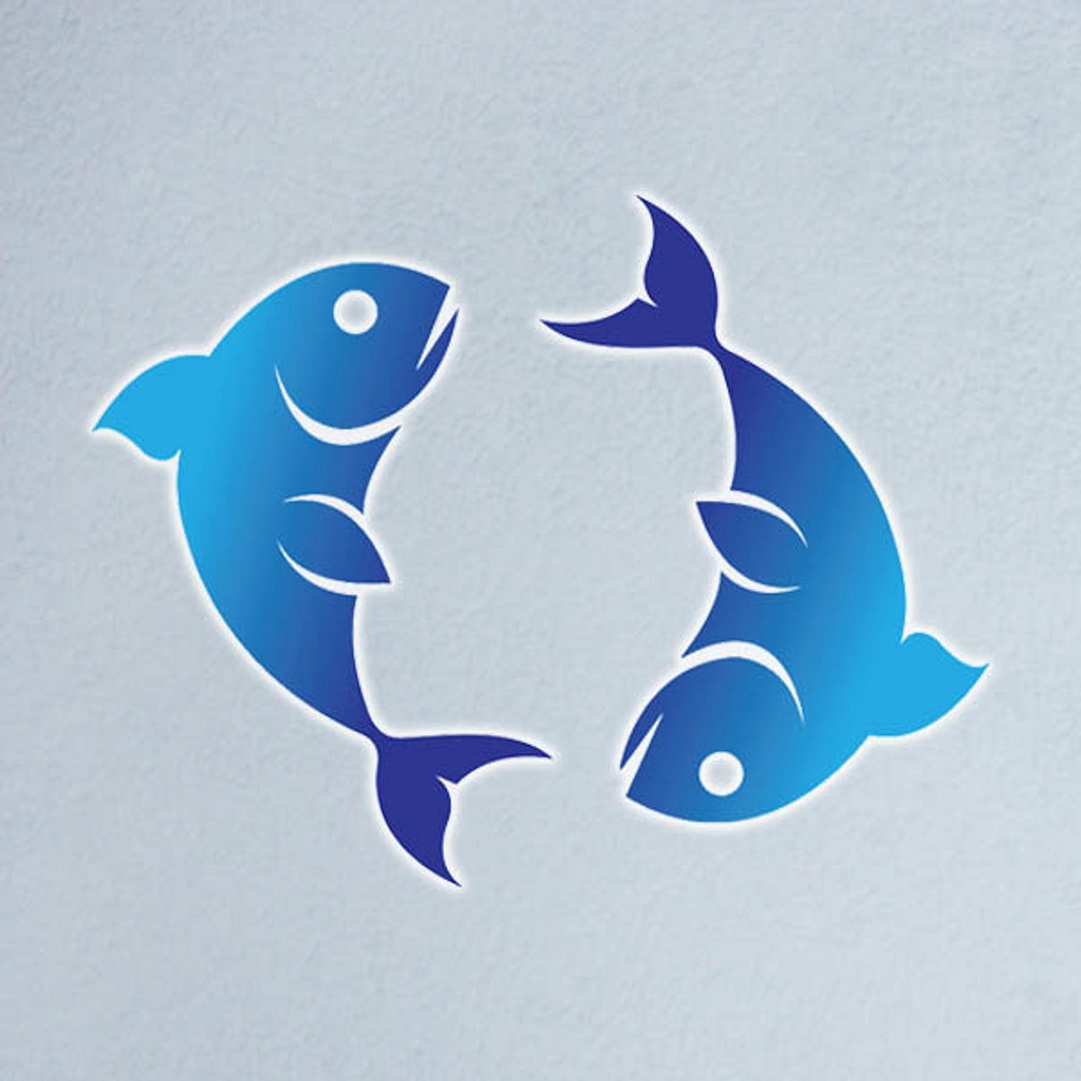 alles neu fische