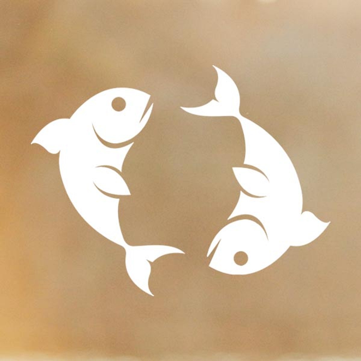 astro coaching liebe vater fische