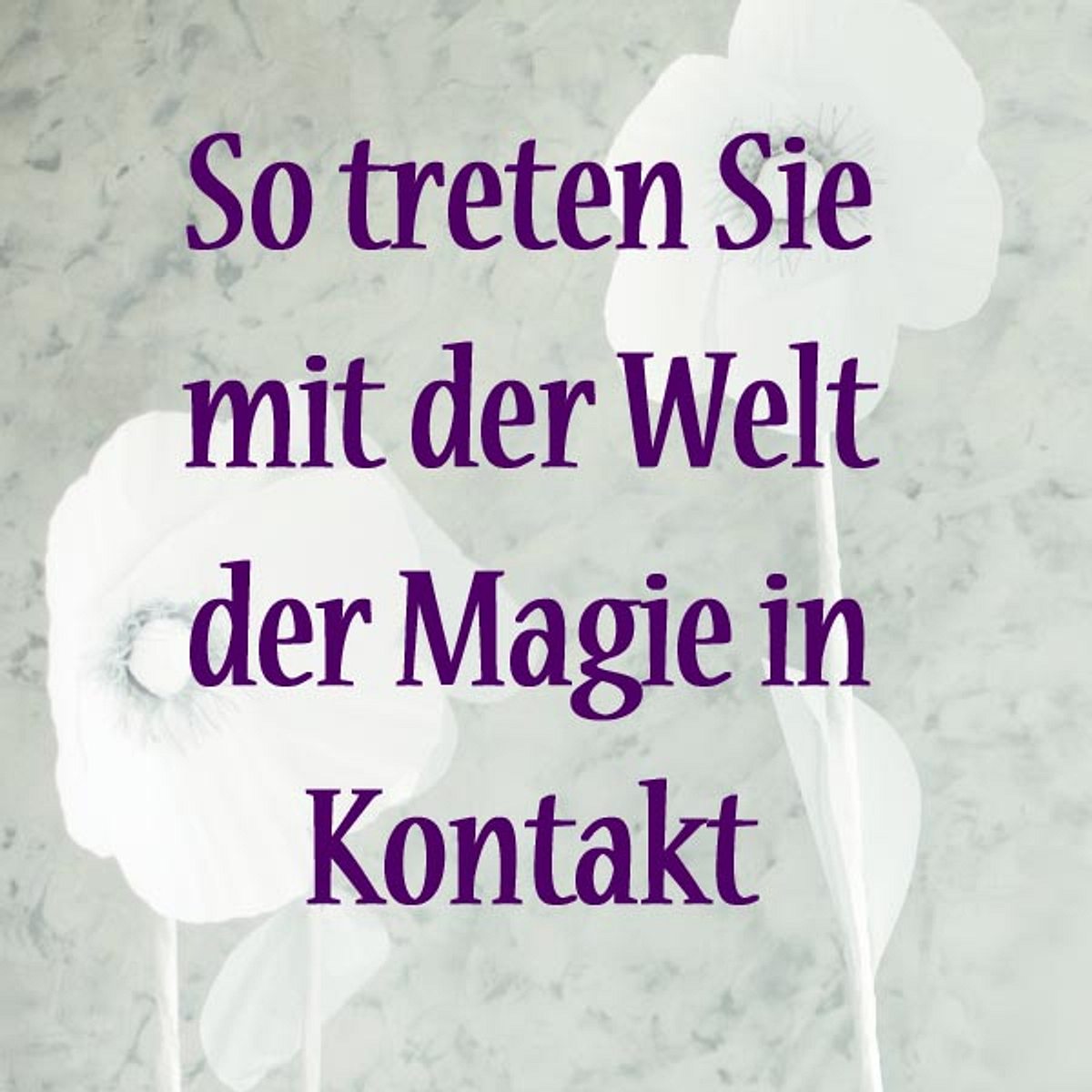 astro coaching magische welt ritual