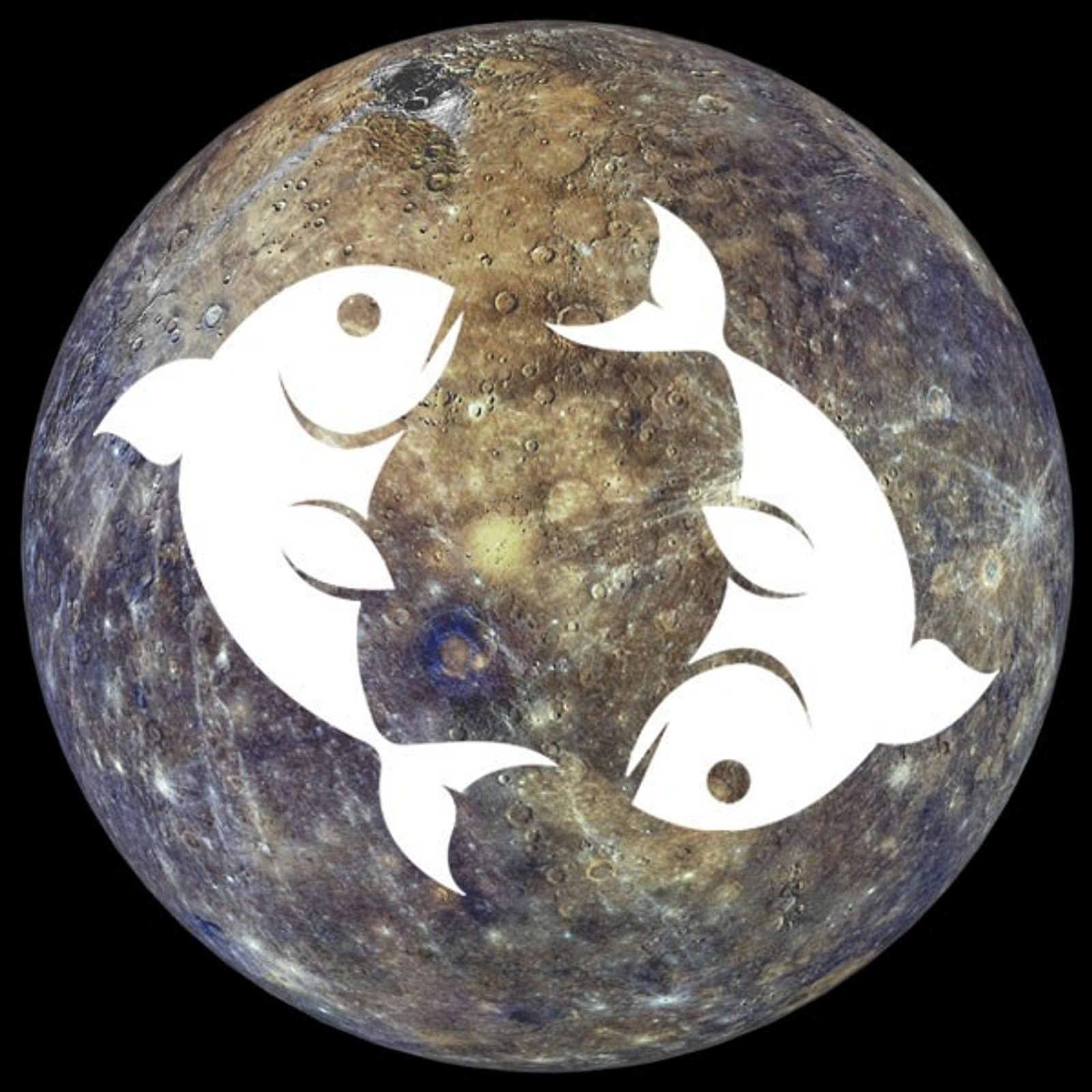 So geht der Fisch mit einem rückläufigen Merkur um Astrowoche
