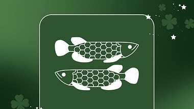 Die Glücksbringer für die Fische in der Woche vom 2. bis 8. Januar 2023 - Foto: Redaktion Astrowoche