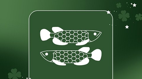 Die Glücksbringer für den Fisch in der Woche  vom 7. bis 13. März 2022 - Foto: Redaktion Astrowoche