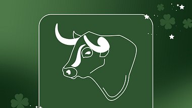 Die Glücksbringer für den Stier in der Woche vom 05. bis 11. Dezember 2022 - Foto: Redaktion Astrowoche