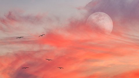 Mond, Sonne und die Liebe im Alltag - Foto: iStock/David Baileys