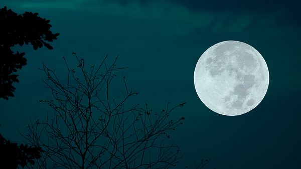 Vollmond am Nachthimmel - Foto: Onkamon Buasorn/iStock