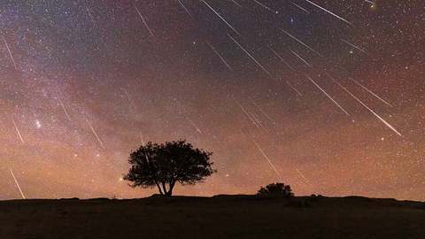 Diese 3 Sternzeichen haben das beste Sternschnuppen-Wochenende ab 12. August 2023! - Foto: Li Xiang/iStock