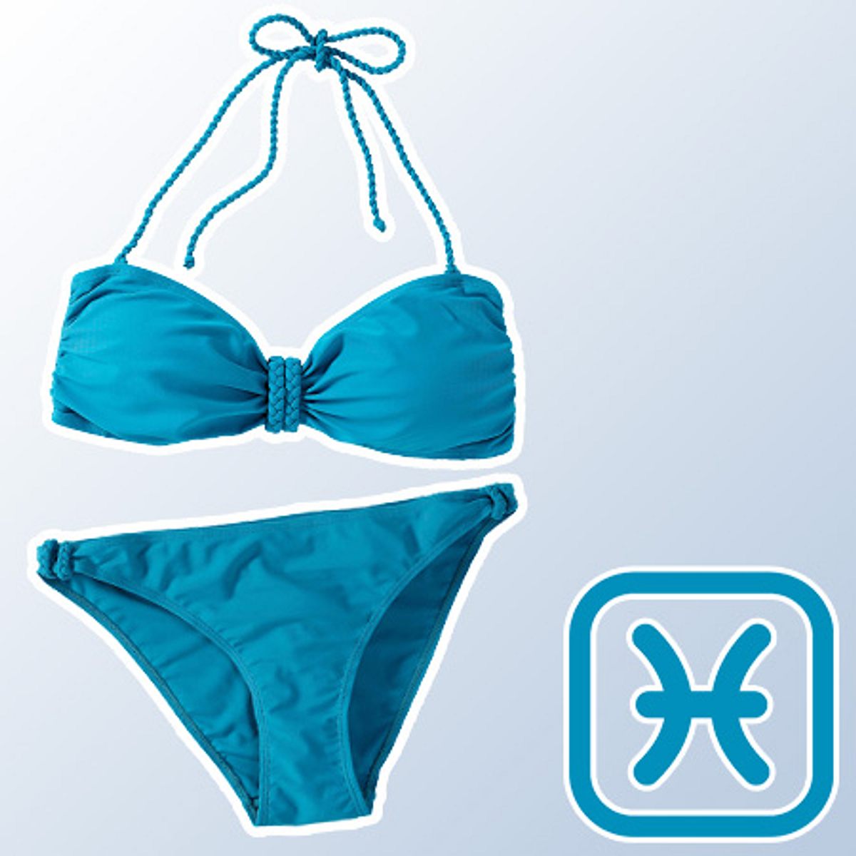 bikini typologie fische