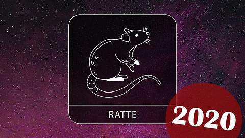 Chinesisches Horoskop 2020 für das Jahr der Metall-Ratte - Foto: iStock und Redaktion