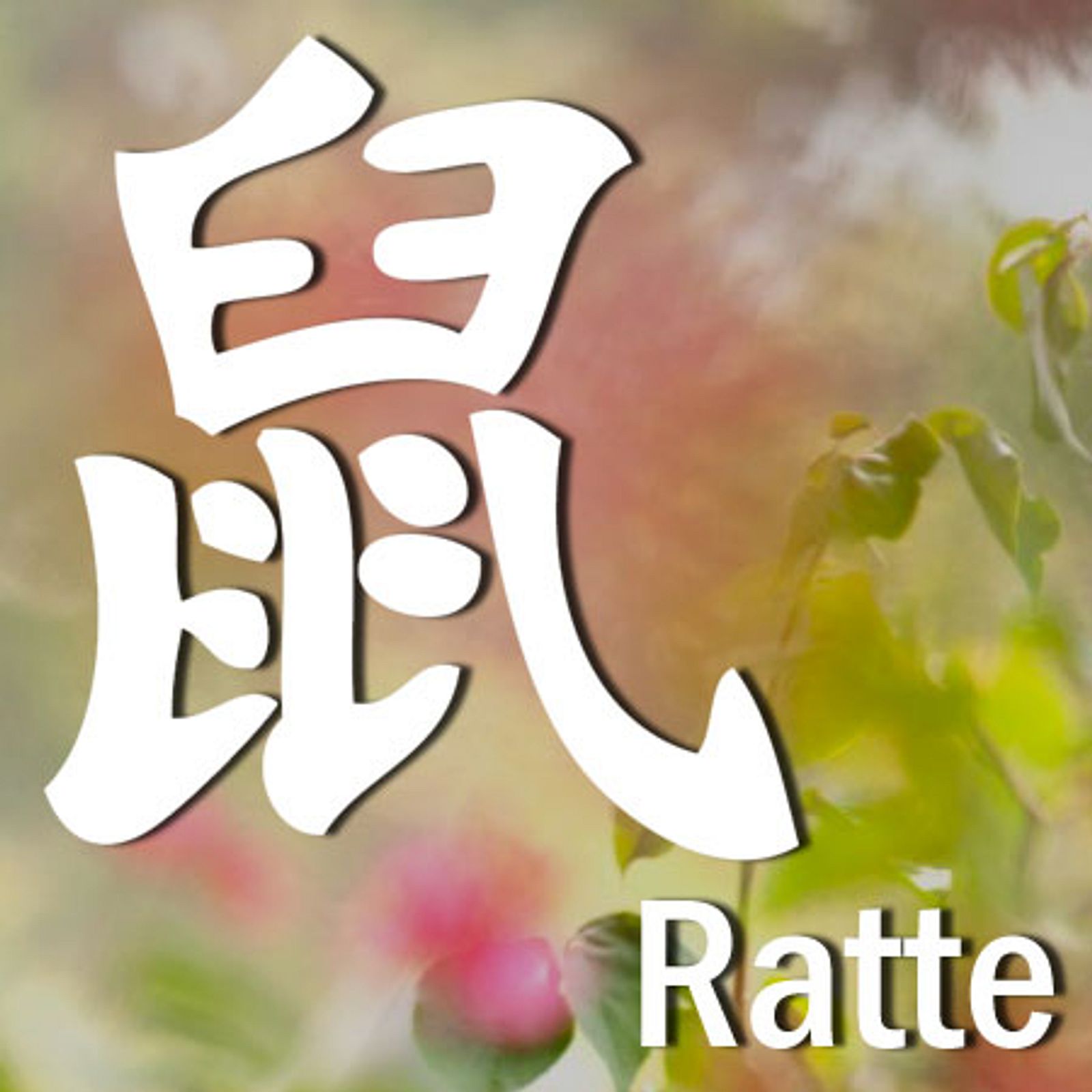 Das chinesische Sternzeichen die Ratte Astrowoche