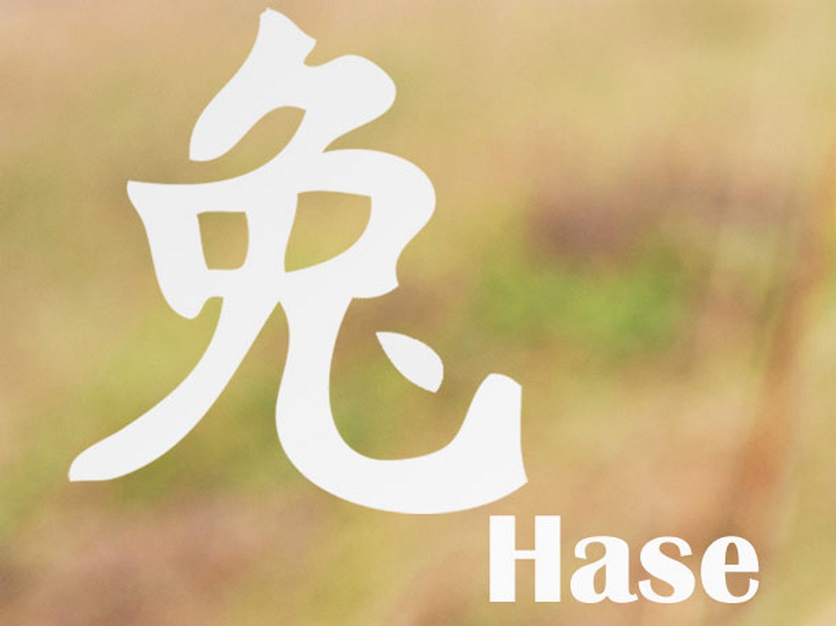 Das chinesische Horoskop 2017: Hase