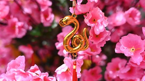 Chinesischer Neujahrsschmuck zum Schlangen-Jahr hängt zwischen Kirschblüten - Foto: yuki-ramen1025 / iStock