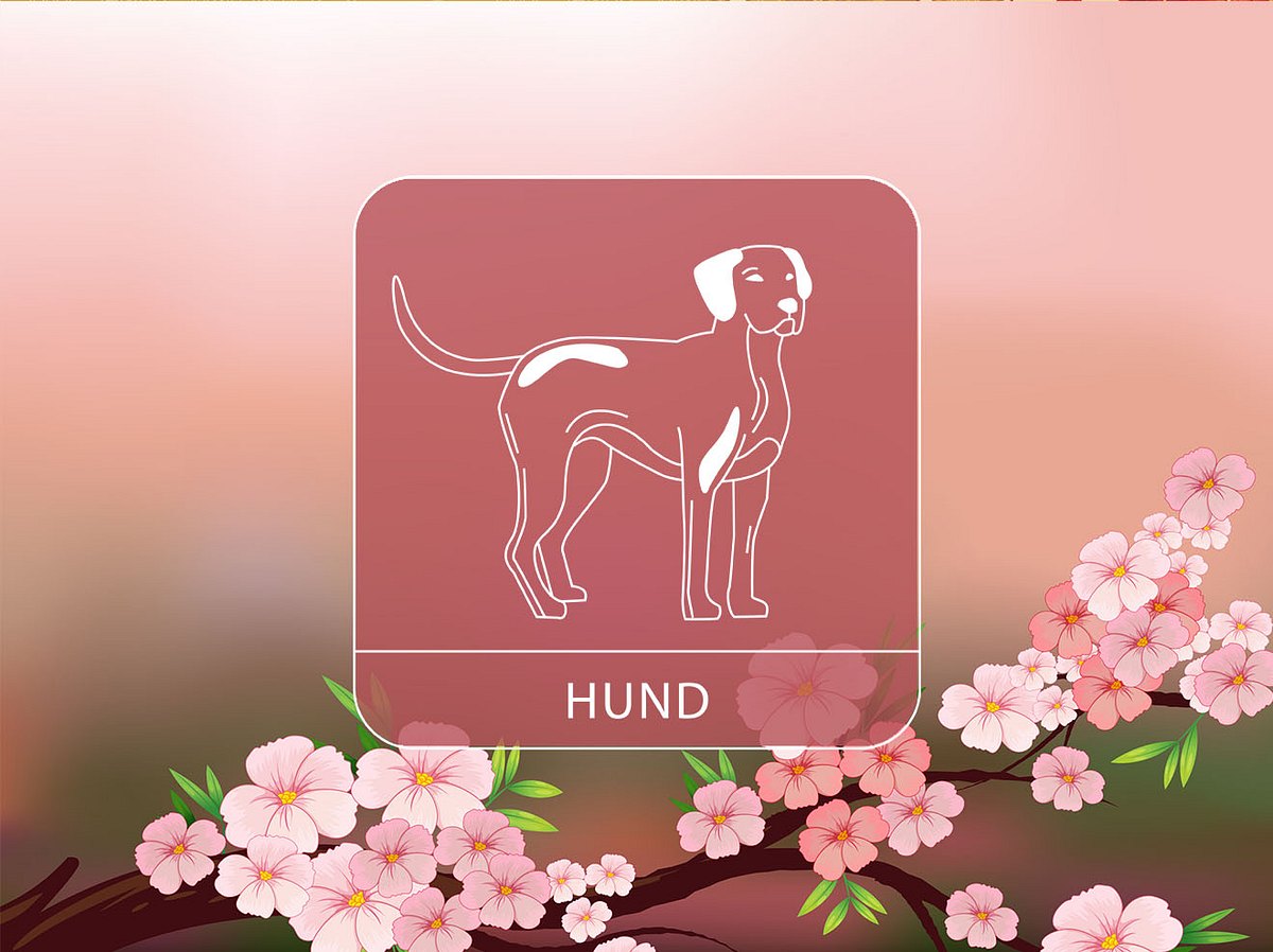 Sternzeichen Hund vor einem romantischen Hintergrund mit Kirschblüten