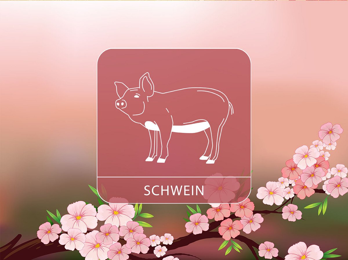 Sternzeichen Schwein vor einem romantischen Hintergrund mit Kirschblüten