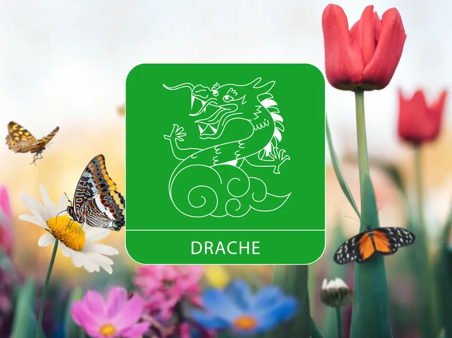Das Sternzeichen Drache umgeben von einer Blumenwiese und Schmetterlingen