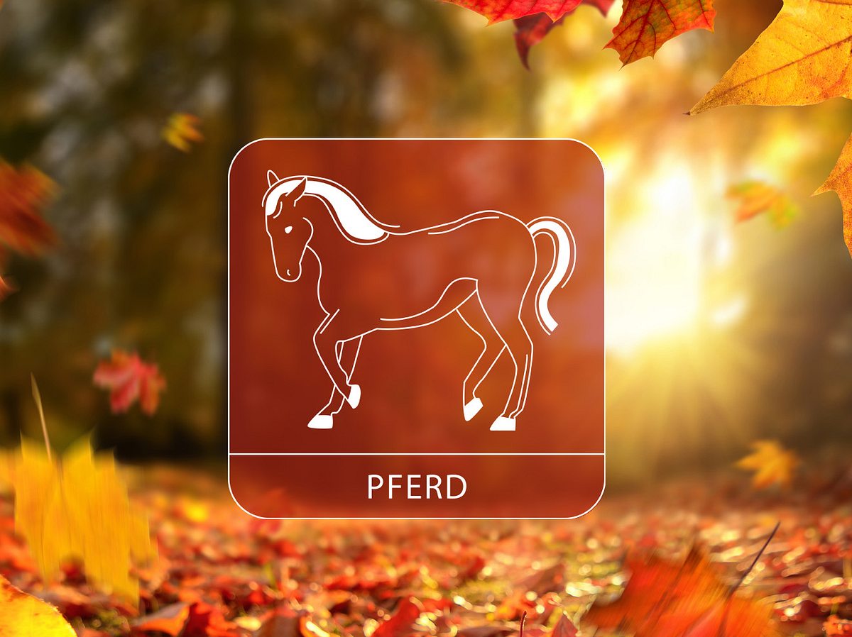 Das Sternzeichen Pferd umgeben von buntem Herbstlaub im Wald