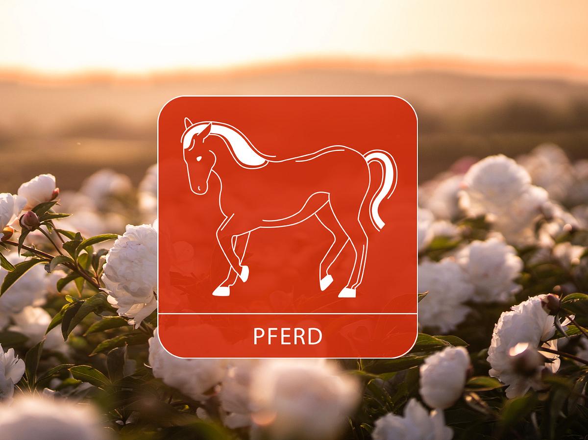 Das Sternzeichen Pferd umgeben von weißen Pfingstrosen