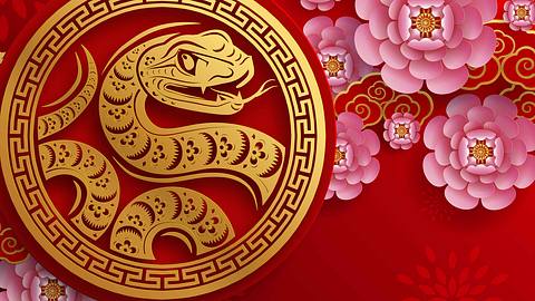 Das chinesische Sternzeichen Schlangen in einem goldenen Kreis umgeben von pinken Blumen - Foto: olaf1741/iStock