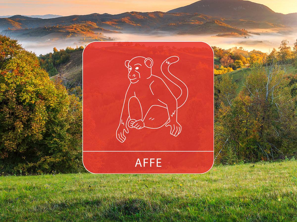 Das Sternzeichen Affe vor einer Berglandschaft
