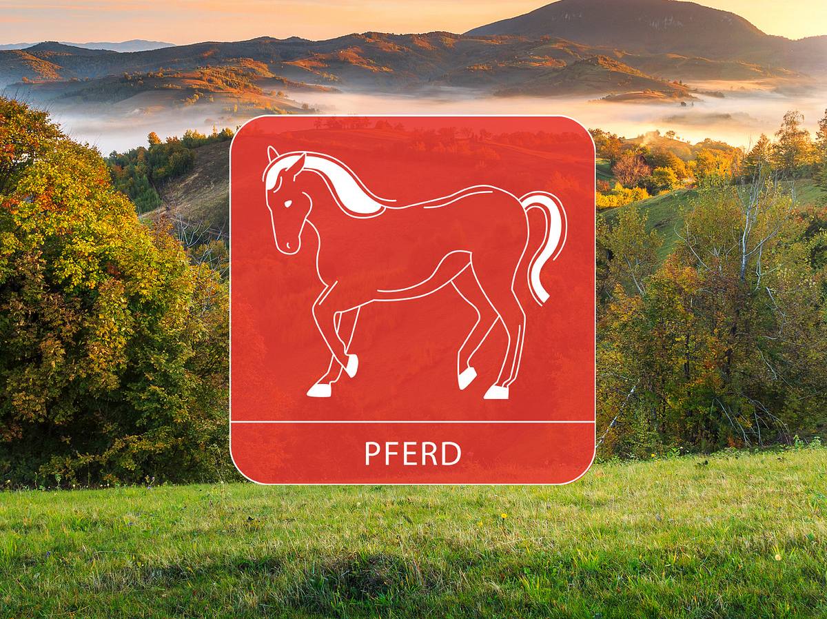 Das Sternzeichen Pferd vor einer Berglandschaft