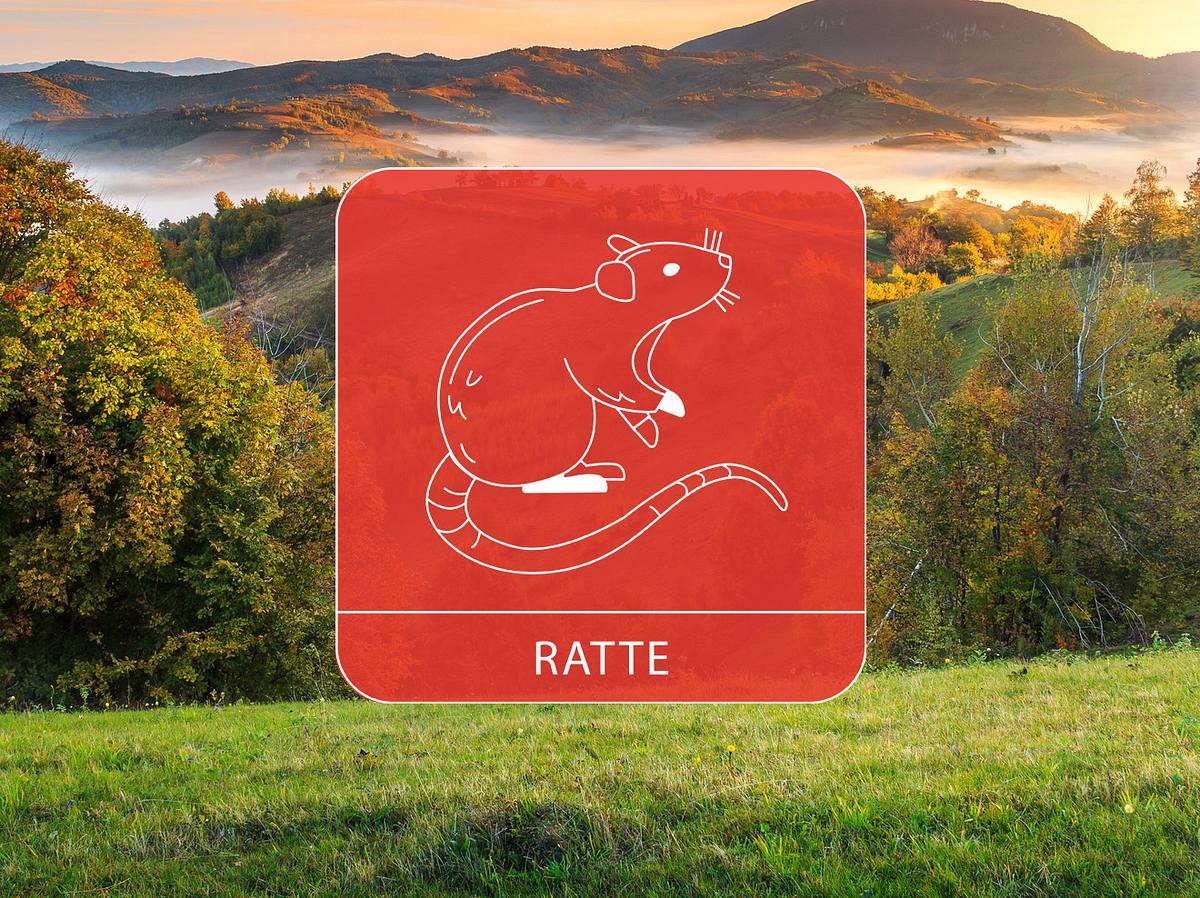 Das Sternzeichen Ratten vor einer Berglandschaft