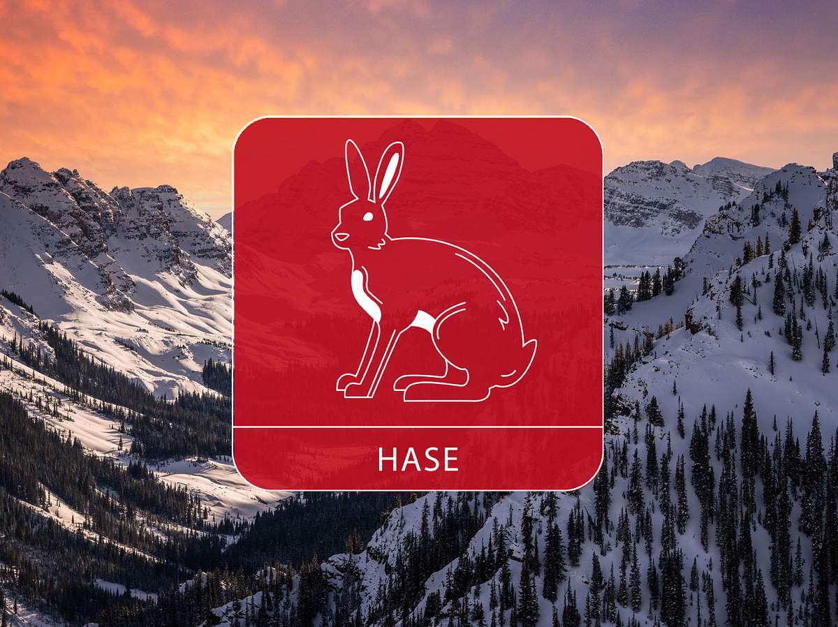 Der Hase vor einer Berglandschaft im Sonnenuntergang