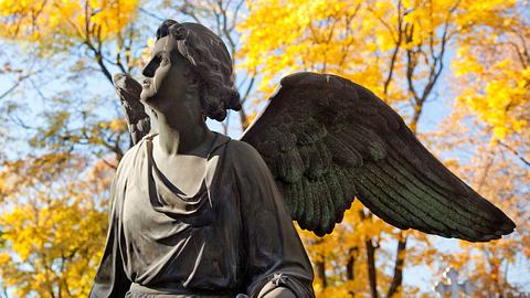 Engelstatue steht in einem herbstlichen Wald und blickt in den Himmel. - Foto: Olga_Anourina / iStock