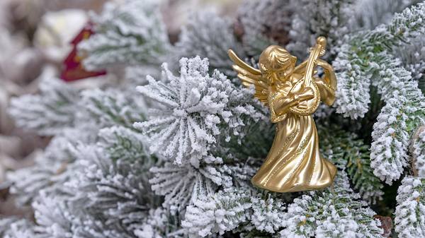 Goldene Engelfigur steht in einer mit Schnee bedeckten Tanne - Foto: Valerii Maksimov / iStock