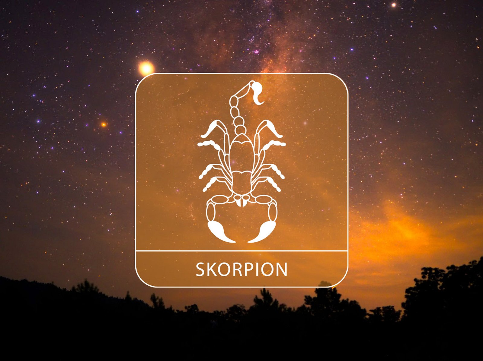 Das Große Sternschnuppen-Horoskop Ab 12. August 2023: So Erfüllen Sich ...