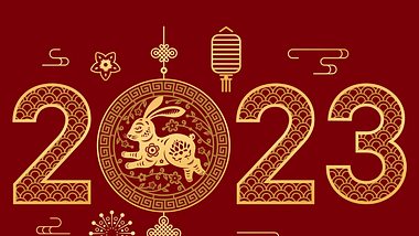 Das große chinesische Horoskop 2023: So wird das Jahr des Wasser-Hasens - Foto: Sensvector / iStock