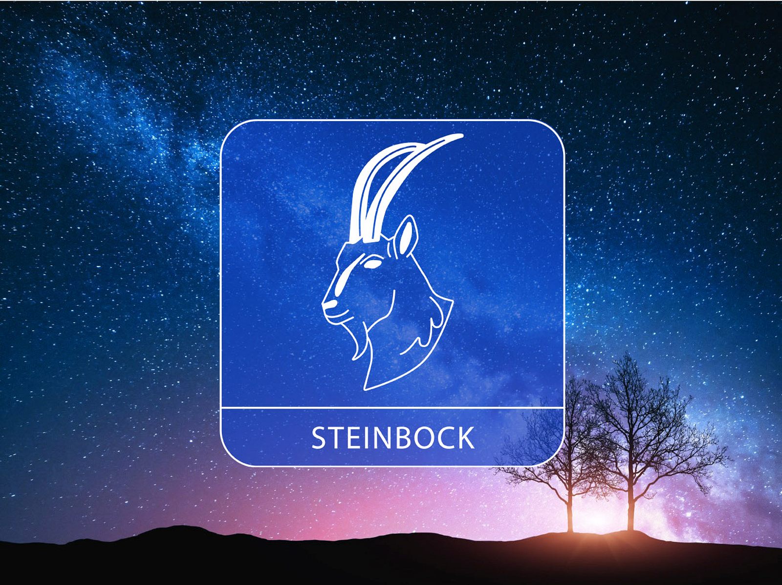 Das Geld-Horoskop Ab 30.01.2023: Sternzeichen Steinbock | Astrowoche