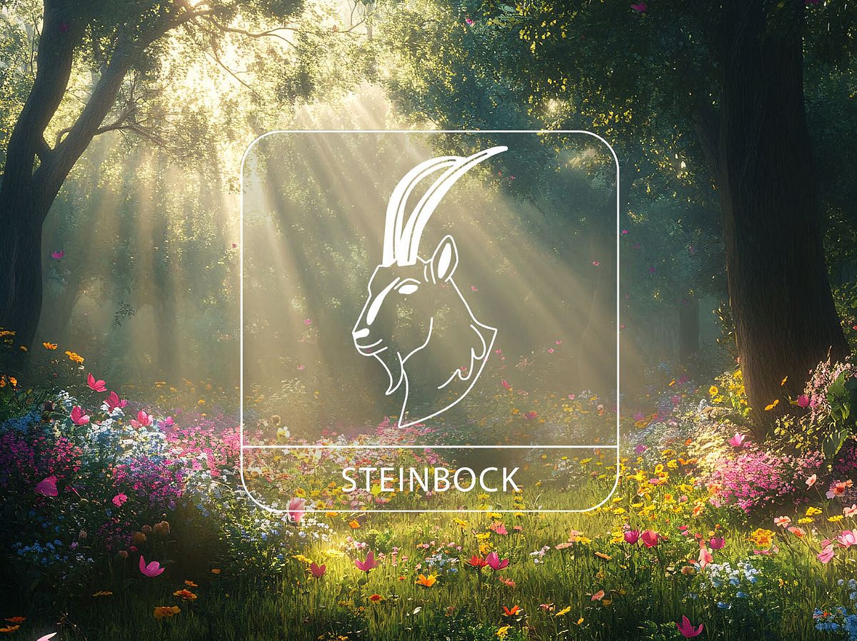 Sternzeichen Steinbock im Sonnenlicht auf einer Frühlingswiese