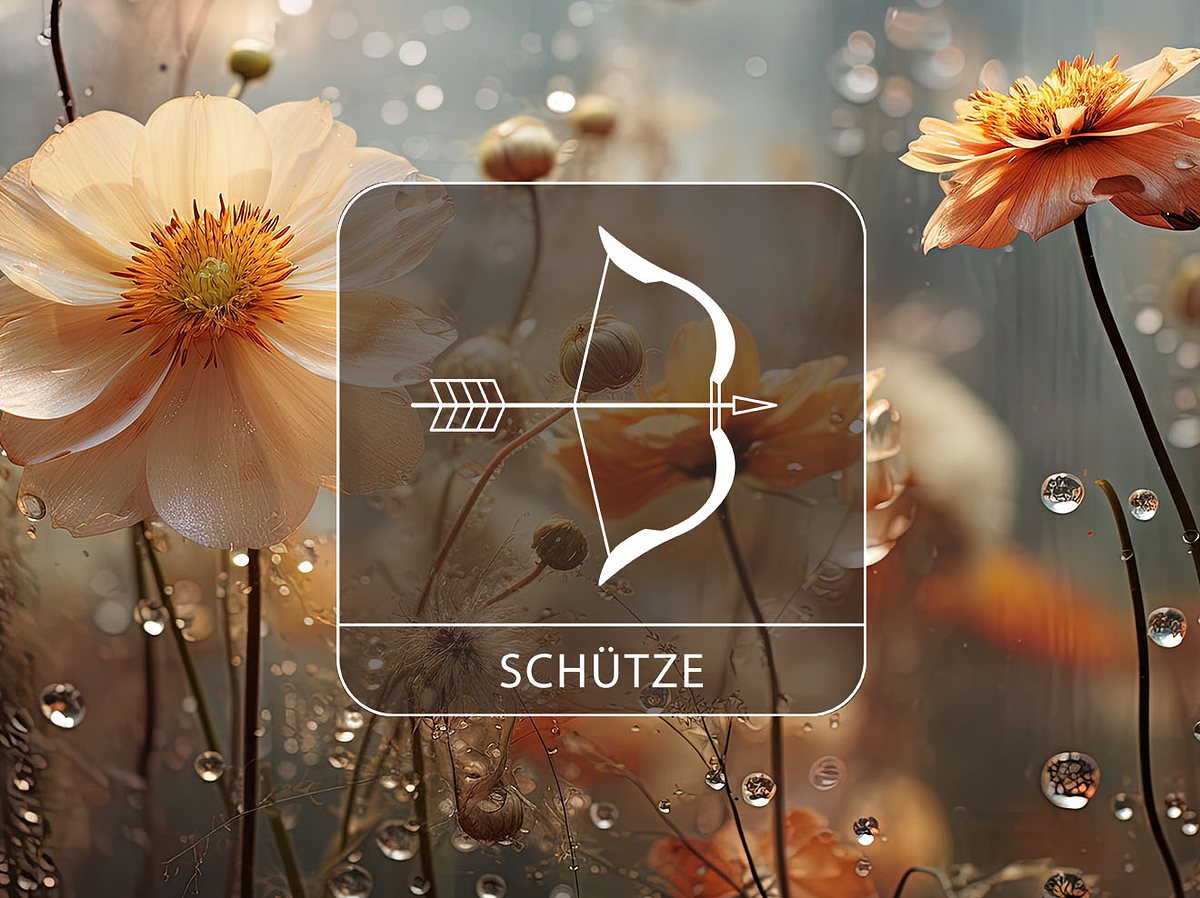 Sternzeichen Schütze vor Blumen im Regen