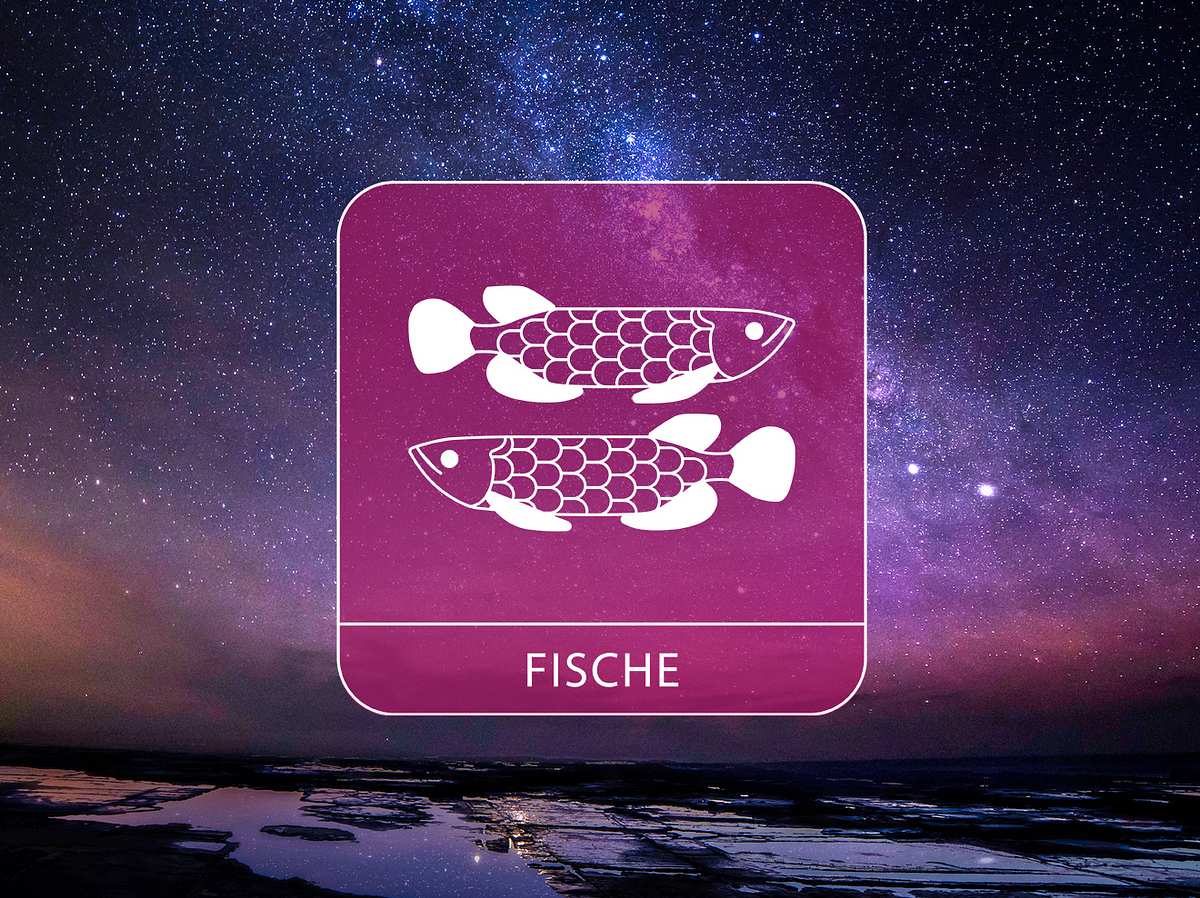 Bild vom Sternzeichen Fische vor einem Sternenhimmel