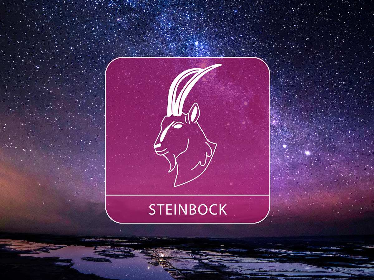 Bild vom Sternzeichen Steinbock vor einem Sternenhimmel