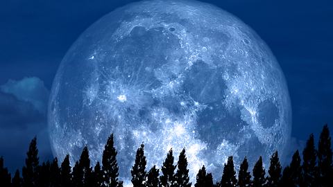 Vollmond steht über einem Kieferwald - Foto: Chayanan / iStock