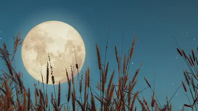 Der Steinbock-Vollmond am 21. Juli bereichert 3 Sternzeichen - Foto: jakkapan21/iStock
