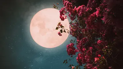 Der Vollmond am 22. Juni bereichert 3 Sternzeichen - Foto: jakkapan21/iStock