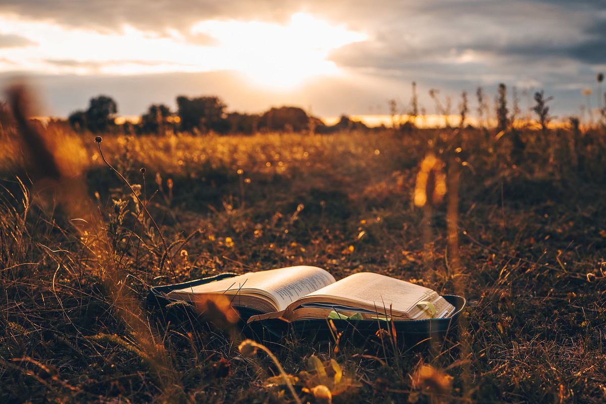 Aufgeschlagenes Buch liegt auf einem Feld im Sonnenlicht