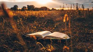 Aufgeschlagenes Buch liegt auf einem Feld im Sonnenlicht - Foto: shine.graphics / AdobeStock