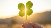 Ein Glücksklee wird in die Sonne gehalten - Foto: AdobeFirefly (generiert mit KI)