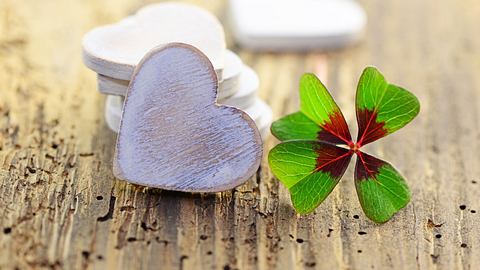 Kleine weiße Herzen aus Holz neben einem Glücksklee - Foto: photocrew / AdobeStock