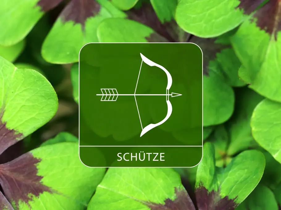 Das Sternzeichen Schütze umgeben von Kleeblättern