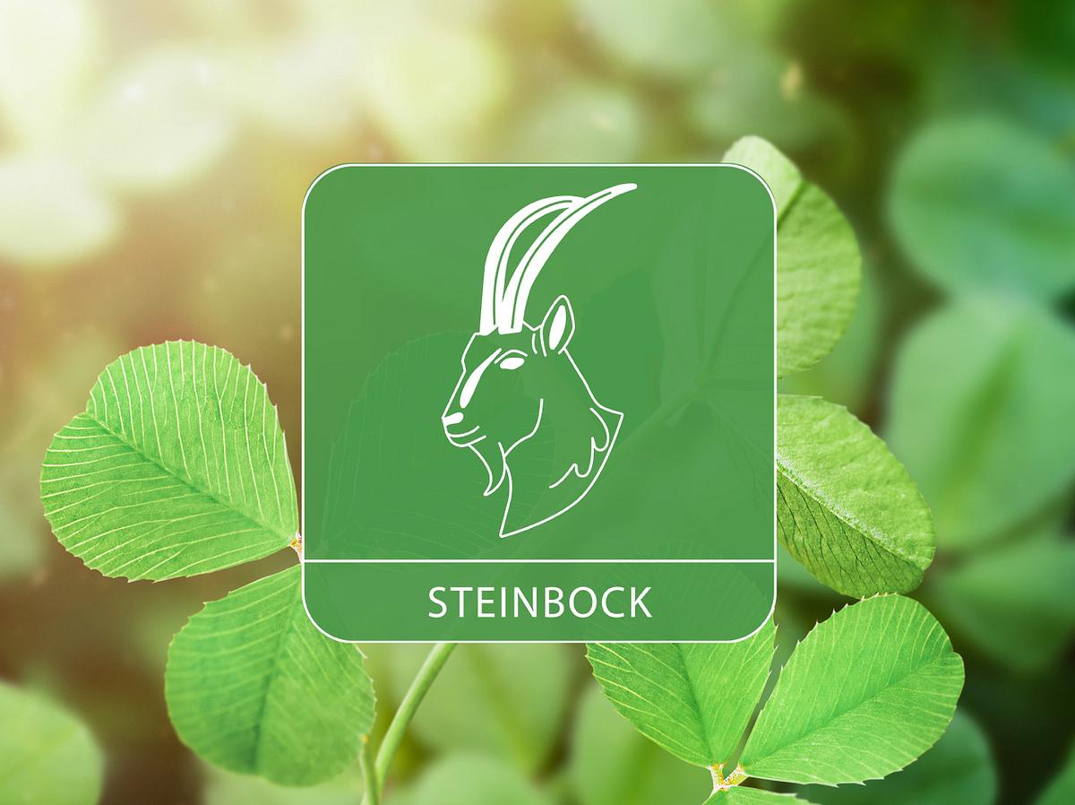 Das Sternzeichen Steinbock vor leuchtenden Kleeblättern