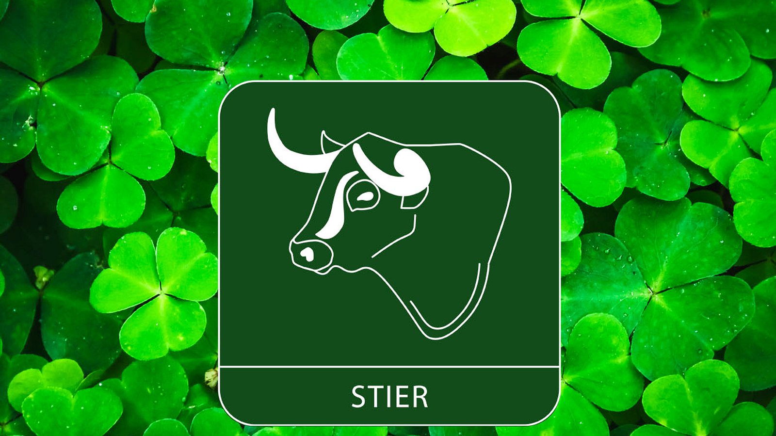 Die Glückstage für das Sternzeichen Stier im März 2024 Astrowoche