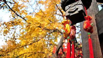 Der goldene Oktober wird für vier chinesische Sternzeichen besonders schön.  - Foto: caoyu36/iStock