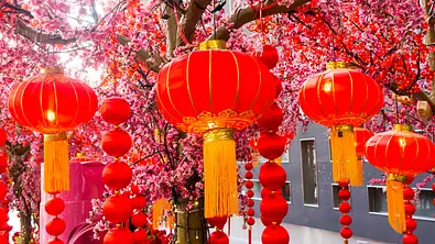 Das Bild zeigt einen Baum in wunderschöner Blüte, der mit chinesischer Neujahrs-Dekoration geschmückt ist.  - Foto: mrfiza/iStock