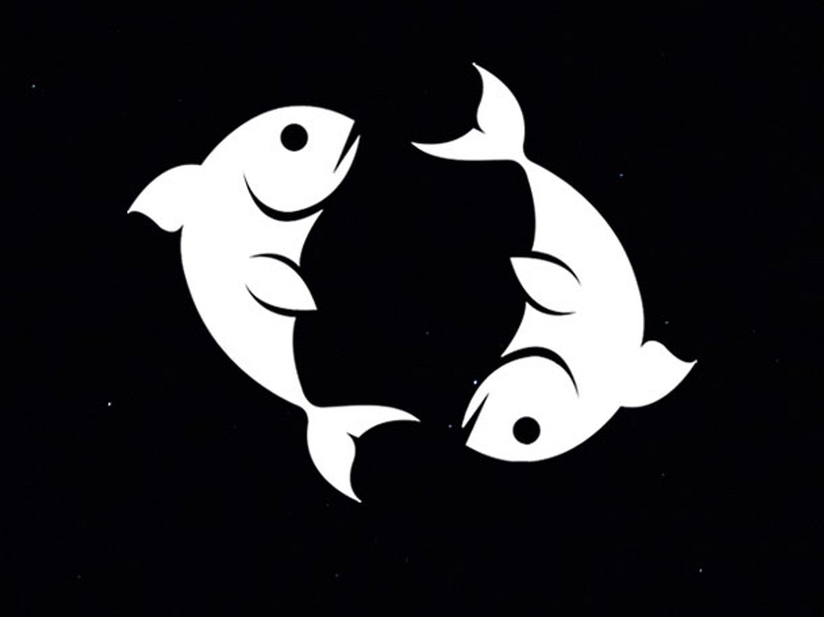 So lehrt die Mondfinsternis Fische mit ihren Schatten zu leben